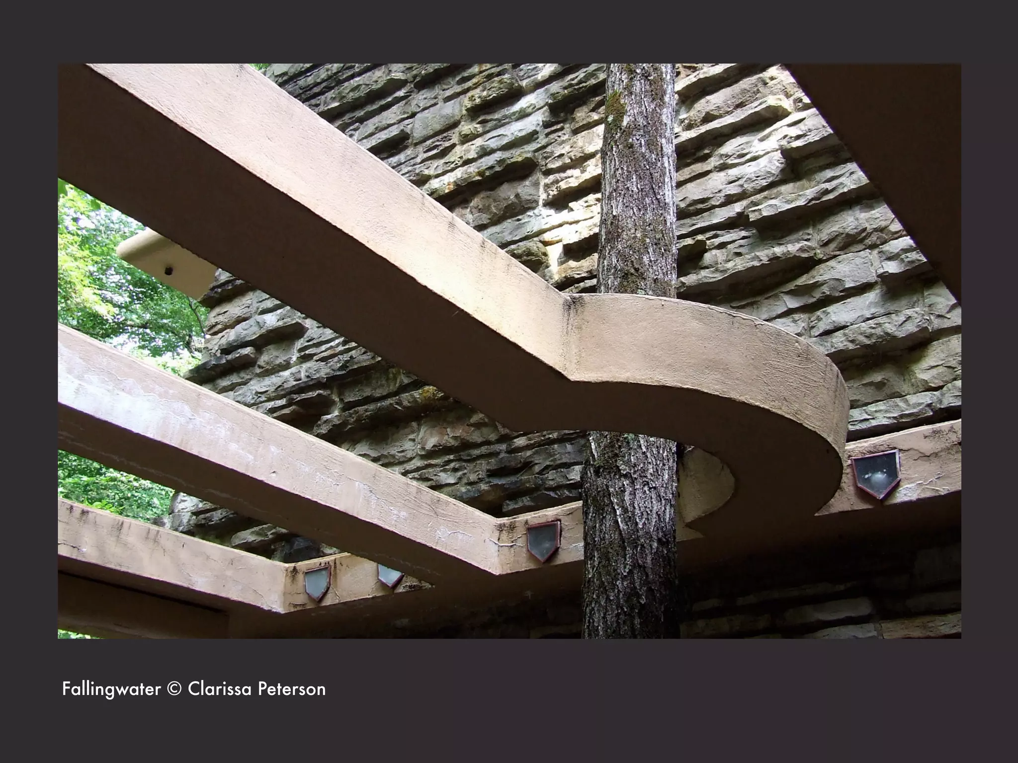 Fallingwater © Clarissa Peterson
 