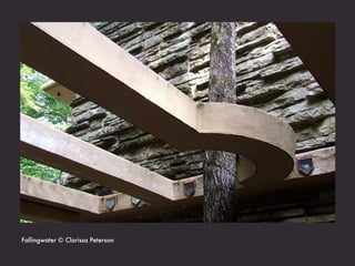 Fallingwater © Clarissa Peterson
 