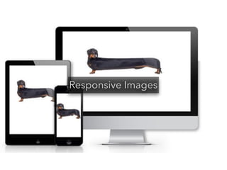 Responsive Images 
 