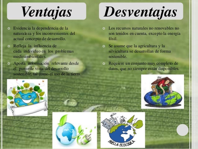 Huella ecológica millangela