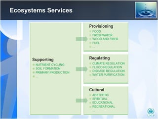 Ecosystems  S ervices 