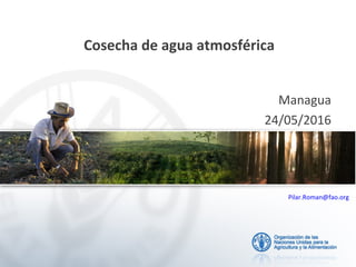 Cosecha de agua de lluvia
Managua
24/05/2016
Pilar.Roman@fao.org
Cosecha de agua atmosférica
 