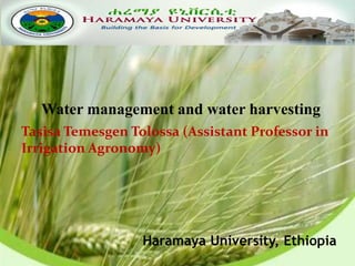 A
Haramaya University, Ethiopia
Water management and water harvesting
Tasisa Temesgen Tolossa (Assistant Professor in
Irrigation Agronomy)
 