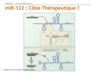 miR-122 : Cible Thérapeutique ?
Hépatite C : Virus et Marqueurs
Janssen et al., N Engl J Med. 2013;368(18):1685-94.
 