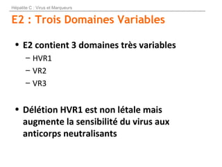E2 : Trois Domaines Variables
• E2 contient 3 domaines très variables
– HVR1
– VR2
– VR3
• Délétion HVR1 est non létale ma...