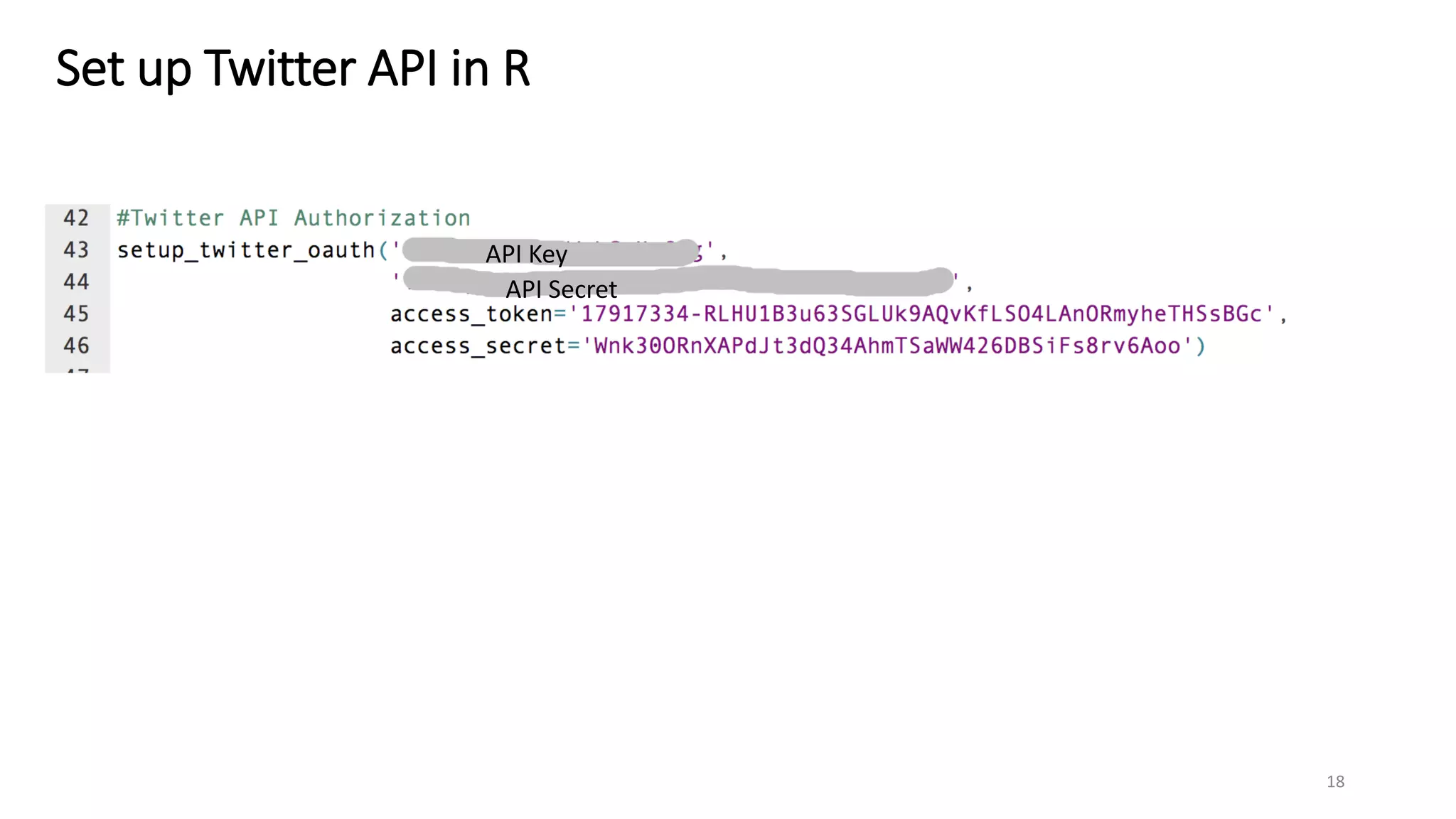 Set up Twitter API in R
18
API Key
API Secret
 
