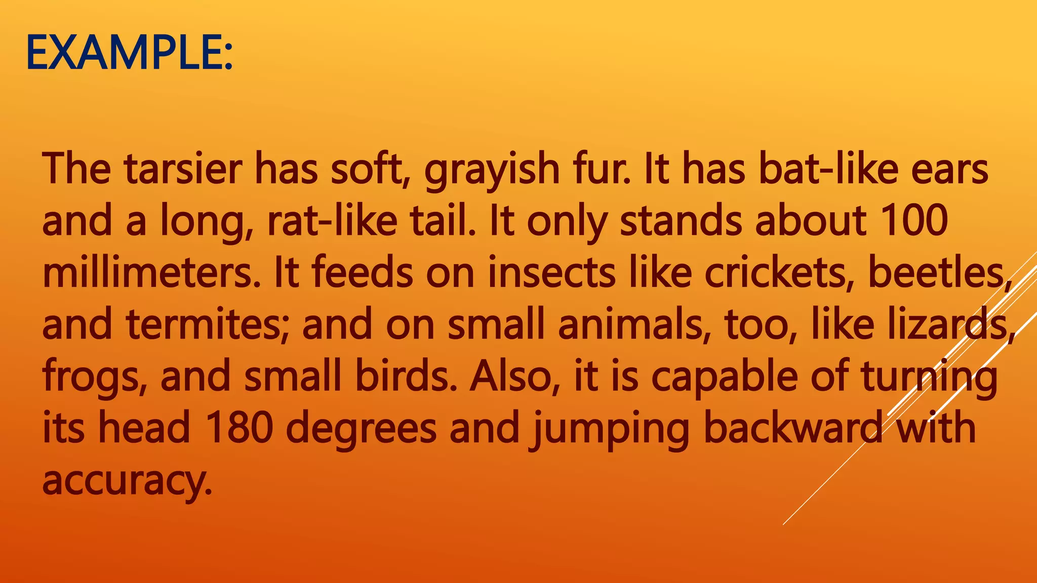 The tarsier has soft, grayish fur. It has bat-like ears
and a long, rat-like tail. It only stands about 100
millimeters. It feeds on insects like crickets, beetles,
and termites; and on small animals, too, like lizards,
frogs, and small birds. Also, it is capable of turning
its head 180 degrees and jumping backward with
accuracy.
EXAMPLE:
 