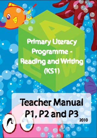 primary literacy programme – reading & writing | PDF