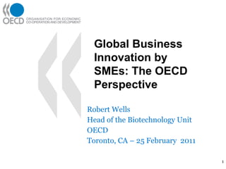 Robert Wells Head of the Biotechnology Unit OECD Toronto, CA – 25 February  2011 Global Business Innovation by SMEs: The OECD Perspective 