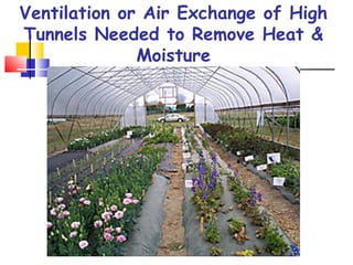 Ventilation or Air Exchange of High
Tunnels Needed to Remove Heat &
Moisture
 