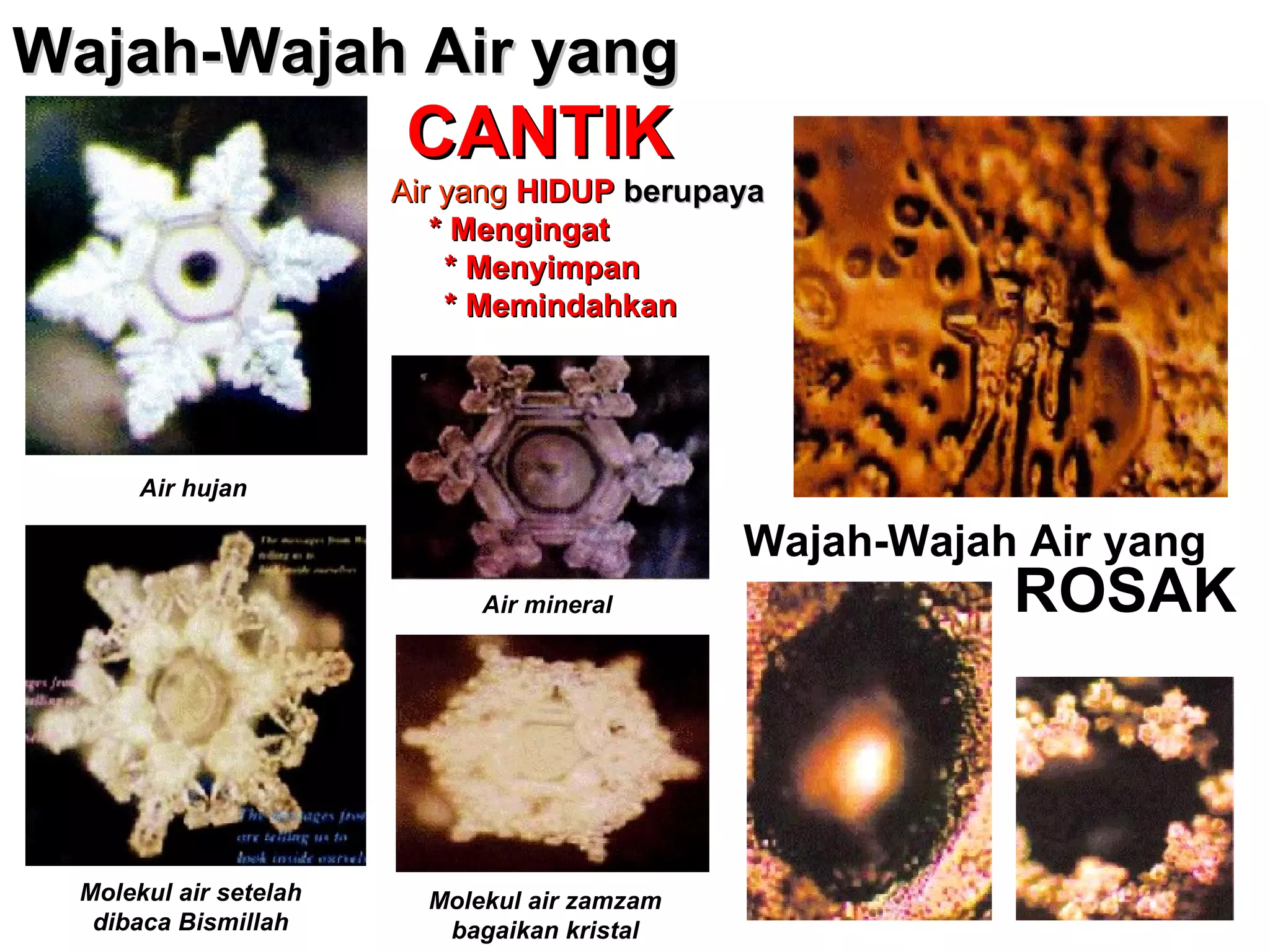 Wajah-Wajah Air yang CANTIK   Air yang  HIDUP   berupaya   * Mengingat * Menyimpan * Memindahkan Wajah-Wajah Air yang ROSAK Air hujan Molekul air setelah dibaca Bismillah Air mineral Molekul air zamzam bagaikan kristal 