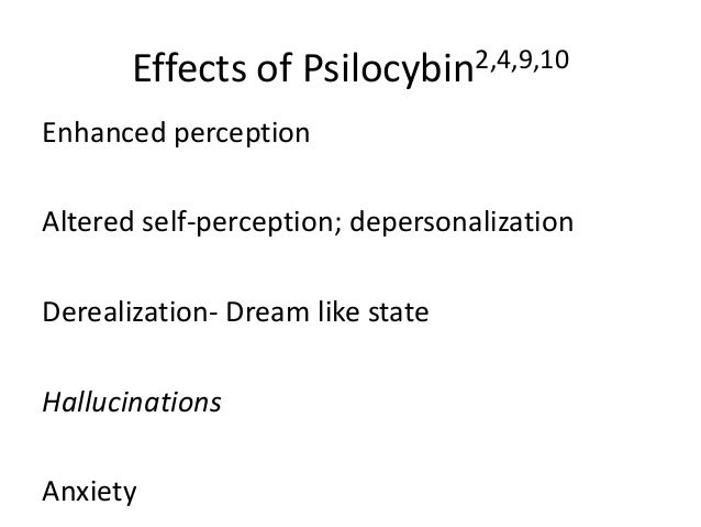 Drug Abuse &amp; Society (RX 462) Presentations-Spring 2014