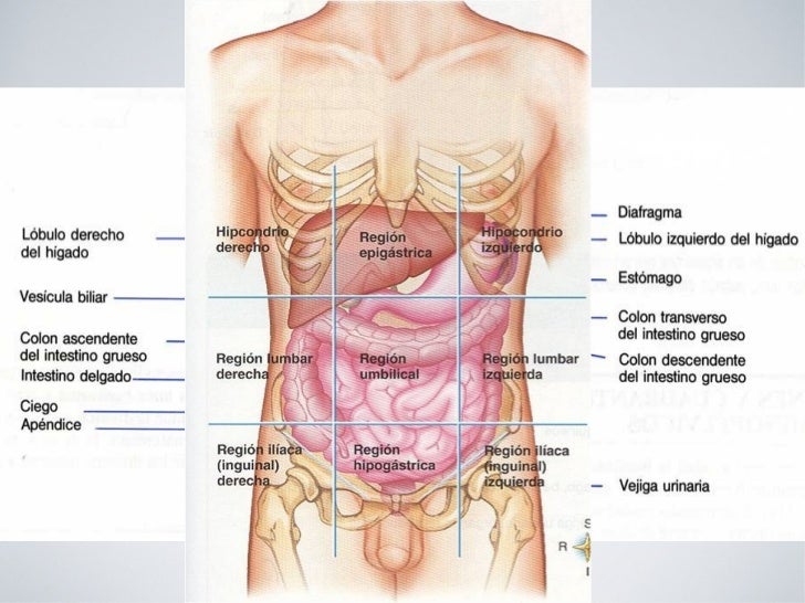 Aire en el lado derecho del abdomen