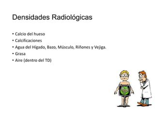 Densidades Radiológicas
• Calcio del hueso
• Calcificaciones
• Agua del Hígado, Bazo, Músculo, Riñones y Vejiga.
• Grasa
• Aire (dentro del TD)

 