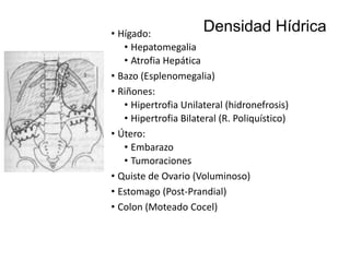 Densidad Hídrica

• Hígado:
• Hepatomegalia
• Atrofia Hepática
• Bazo (Esplenomegalia)
• Riñones:
• Hipertrofia Unilateral (hidronefrosis)
• Hipertrofia Bilateral (R. Poliquístico)
• Útero:
• Embarazo
• Tumoraciones
• Quiste de Ovario (Voluminoso)
• Estomago (Post-Prandial)
• Colon (Moteado Cocel)

 
