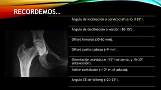 Radiología de cadera, principios basicos | PPTX