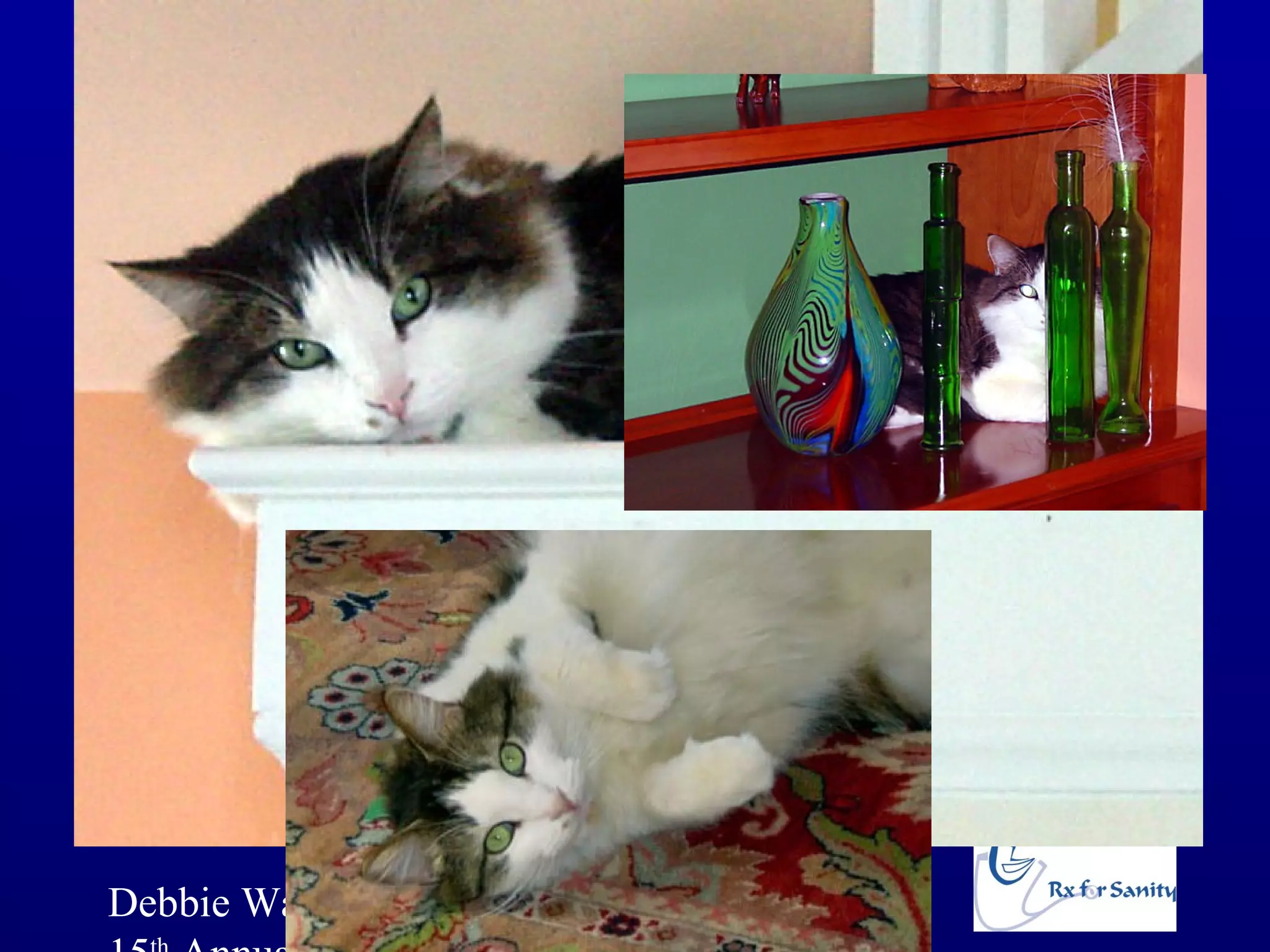 Debbie Waiz   www.RxForSanity.com
 