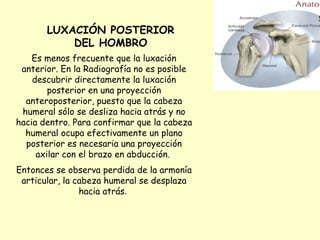 LUXACIÓN POSTERIOR DEL HOMBRO Es menos frecuente que la luxación anterior. En la Radiografía no es posible descubrir directamente la luxación posterior en una proyección anteroposterior, puesto que la cabeza humeral sólo se desliza hacia atrás y no hacia dentro. Para confirmar que la cabeza humeral ocupa efectivamente un plano posterior es necesaria una proyección axilar con el brazo en abducción.  Entonces se observa perdida de la armonía articular, la cabeza humeral se desplaza hacia atrás .  