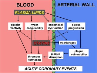 BLOODBLOOD ARTERIAL WALLARTERIAL WALL
ACUTE CORONARY EVENTS
PLASMA LIPIDSPLASMA LIPIDS
plaque
vulnerability
plaque
progression
endothelial
dysfunction
platelet
reactivity
macrophages
hyper-
coagulability
thrombus
formation
STATINSSTATINS
plaque
disruption
 