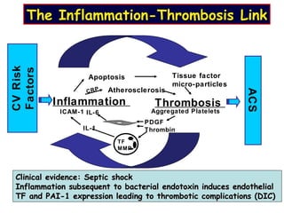 Inflammation Thrombosis
Atherosclerosis
Apoptosis Tissue factor
micro-particles
Aggregated Platelets
PDGF
Thrombin
IL-6
TF
MMP
ICAM-1
IL-1
CRP
CVRisk
Factors
ACS
The Inflammation-ThrombosisThe Inflammation-Thrombosis LinkLink
Clinical evidence: Septic shockClinical evidence: Septic shock
Inflammation subsequent to bacterial endotoxin induces endothelialInflammation subsequent to bacterial endotoxin induces endothelial
TF and PAI-1 expression leading to thrombotic complications (DIC)TF and PAI-1 expression leading to thrombotic complications (DIC)
 