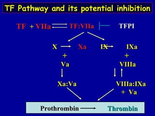 XX XaXa IXIX IXaIXa
++ ++
VaVa VIIIaVIIIa
Xa:VaXa:Va VIIIa:IXaVIIIa:IXa
+ Va+ Va
ProthrombinProthrombin ThrombinThrombin
TFTF ++ VIIaVIIa TF:VIIaTF:VIIa
TF Pathway and its potential inhibitionTF Pathway and its potential inhibition
TFPITFPI
 