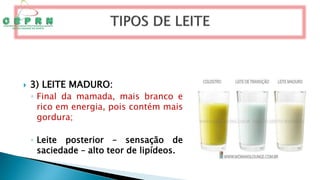  3) LEITE MADURO:
◦ Final da mamada, mais branco e
rico em energia, pois contém mais
gordura;
◦ Leite posterior – sensação de
saciedade – alto teor de lipídeos.
 