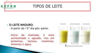  3) LEITE MADURO:
◦ A partir do 15º dia pós-parto;
◦ Início da mamada, é mais
acinzentado e aguado, rico em
proteínas, lactose, vitaminas,
minerais e água;
 