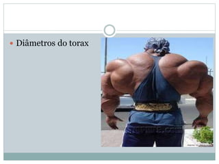  Diâmetros do torax
 