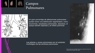 Campos
Pulmonares
Un gran porcentaje de alteraciones pulmonares
pueden tener una distribución segmentaria, como
neumonías, neoplasias pulmonares, abscesos, el
cuerpo extraño aspirado y el infarto pulmonar.
Las arterias y venas pulmonares son el substrato
morfológico de las sombras pulmonares.
Guía practica para radiología de tórax en atención primaria, Dr.
Carlos M.M. Ed. Adalia. Peru. 2005
 