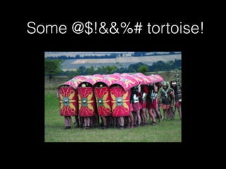 Some @$!&&%# tortoise! 
 