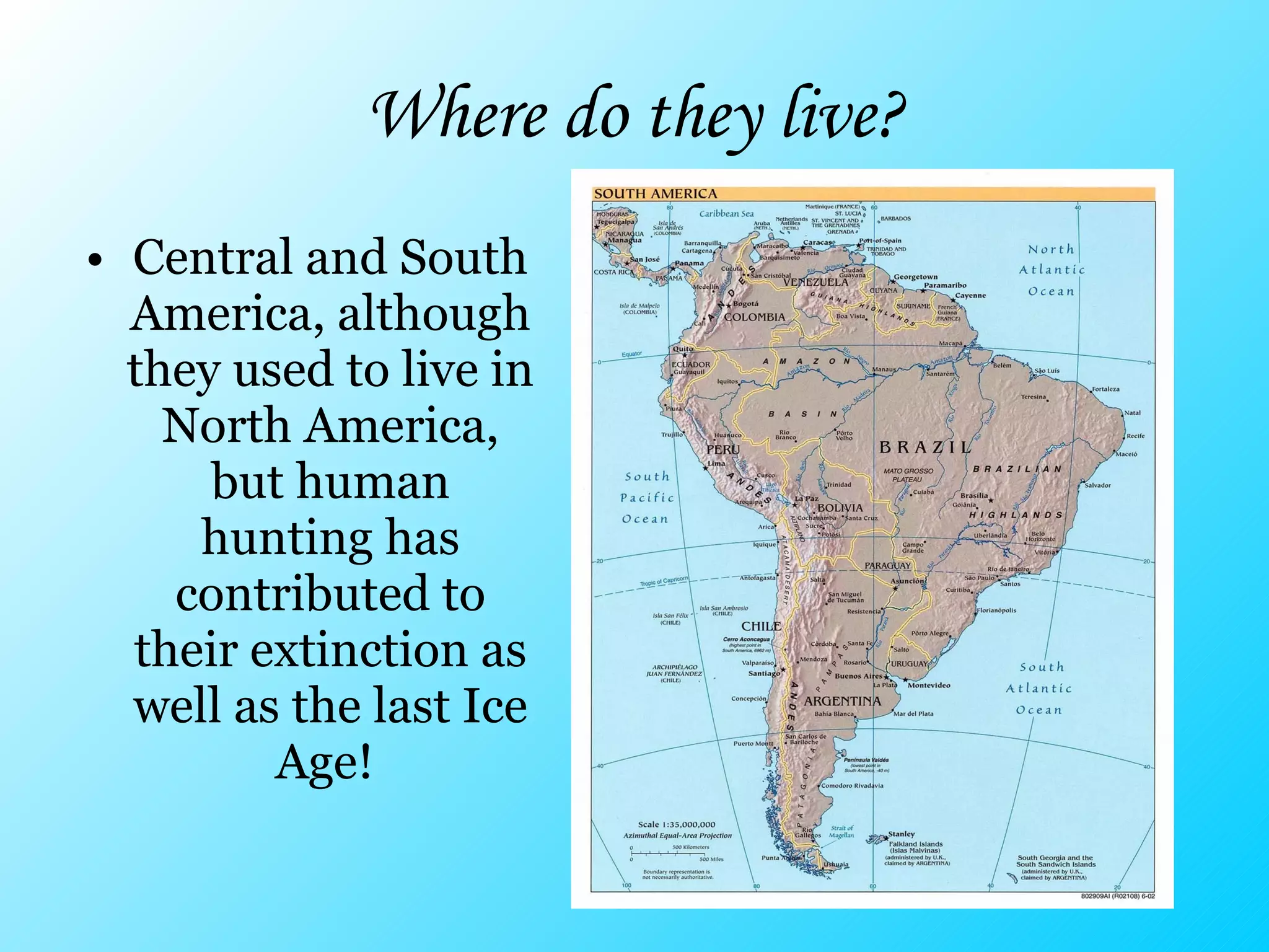 Where do they live? Central and South America, although they used to live in North America, but human hunting has contributed to their extinction as well as the last Ice Age!  