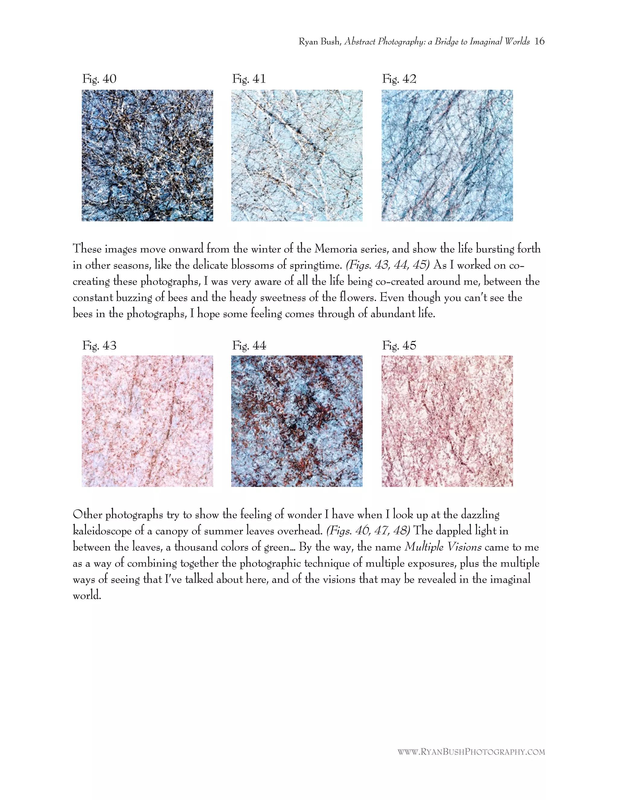 Fig. 40 Fig. 41 Fig. 42
These images move onward from the winter of the Memoria series, and show the life bursting forth
in other seasons, like the delicate blossoms of springtime. (Figs. 43, 44, 45) As I worked on co-
creating these photographs, I was very aware of all the life being co-created around me, between the
constant buzzing of bees and the heady sweetness of the ﬂowers. Even though you can’t see the
bees in the photographs, I hope some feeling comes through of abundant life.
Fig. 43 Fig. 44 Fig. 45
Other photographs try to show the feeling of wonder I have when I look up at the dazzling
kaleidoscope of a canopy of summer leaves overhead. (Figs. 46, 47, 48) The dappled light in
between the leaves, a thousand colors of green… By the way, the name Multiple Visions came to me
as a way of combining together the photographic technique of multiple exposures, plus the multiple
ways of seeing that I’ve talked about here, and of the visions that may be revealed in the imaginal
world.
Ryan Bush, Abstract Photography: a Bridge to Imaginal Worlds 16
WWW.RYANBUSHPHOTOGRAPHY.COM
 