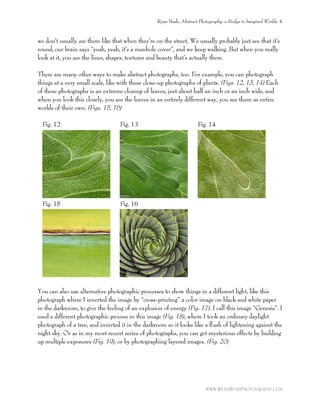 we don’t usually see them like that when they’re on the street. We usually probably just see that it’s
round, our brain says “yeah, yeah, it’s a manhole cover”, and we keep walking. But when you really
look at it, you see the lines, shapes, textures and beauty that’s actually there.
There are many other ways to make abstract photographs, too. For example, you can photograph
things at a very small scale, like with these close-up photographs of plants. (Figs. 12, 13, 14) Each
of these photographs is an extreme closeup of leaves, just about half an inch or an inch wide, and
when you look this closely, you see the leaves in an entirely different way, you see them as entire
worlds of their own. (Figs. 15, 16)
Fig. 12 Fig. 13 Fig. 14
Fig. 15 Fig. 16
You can also use alternative photographic processes to show things in a different light, like this
photograph where I inverted the image by “cross-printing” a color image on black and white paper
in the darkroom, to give the feeling of an explosion of energy (Fig. 17). I call this image “Genesis”. I
used a different photographic process in this image (Fig. 18), where I took an ordinary daylight
photograph of a tree, and inverted it in the darkroom so it looks like a ﬂash of lightening against the
night sky. Or as in my most recent series of photographs, you can get mysterious effects by building
up multiple exposures (Fig. 19), or by photographing layered images. (Fig. 20)
Ryan Bush, Abstract Photography: a Bridge to Imaginal Worlds 4
WWW.RYANBUSHPHOTOGRAPHY.COM
 