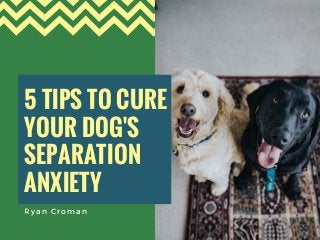 5 TIPS TO CURE
YOUR DOG'S
SEPARATION
ANXIETY 
Ryan Croman
 