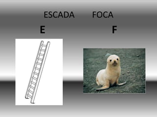 ESCADA FOCA
E F