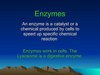 Enzymes An enzyme is a catalyst or a chemical produced by cells to speed up specific chemical reaction  Enzymes work in cells. The Lysosome is a digestive enzyme. 