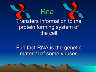 Rna Transfers information to the protein forming system of the cell Fun fact-RNA is the genetic material of some viruses 