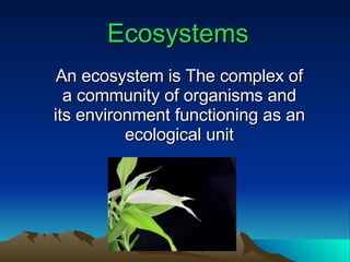 Ecosystems An ecosystem is The complex of a community of organisms and its environment functioning as an ecological unit 