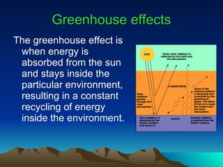 Greenhouse effects The greenhouse effect is when energy is absorbed from the sun and stays inside the particular environment, resulting in a constant recycling of energy inside the environment. 