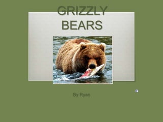 GRIZZLY BEARS By Ryan 