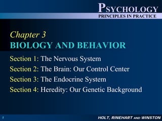 PSYCHOLOGY
                                PRINCIPLES IN PRACTICE



    Chapter 3
    BIOLOGY AND BEHAVIOR
    Section 1: The Nervous System
    Section 2: The Brain: Our Control Center
    Section 3: The Endocrine System
    Section 4: Heredity: Our Genetic Background


1                               HOLT, RINEHART   AND   WINSTON
 
