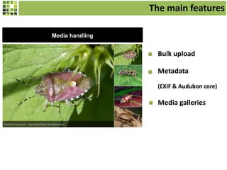 The main features
Media handling

Bulk upload
Metadata
(EXIF & Audubon core)

Media galleries

 