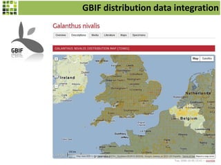 GBIF distribution data integration

 