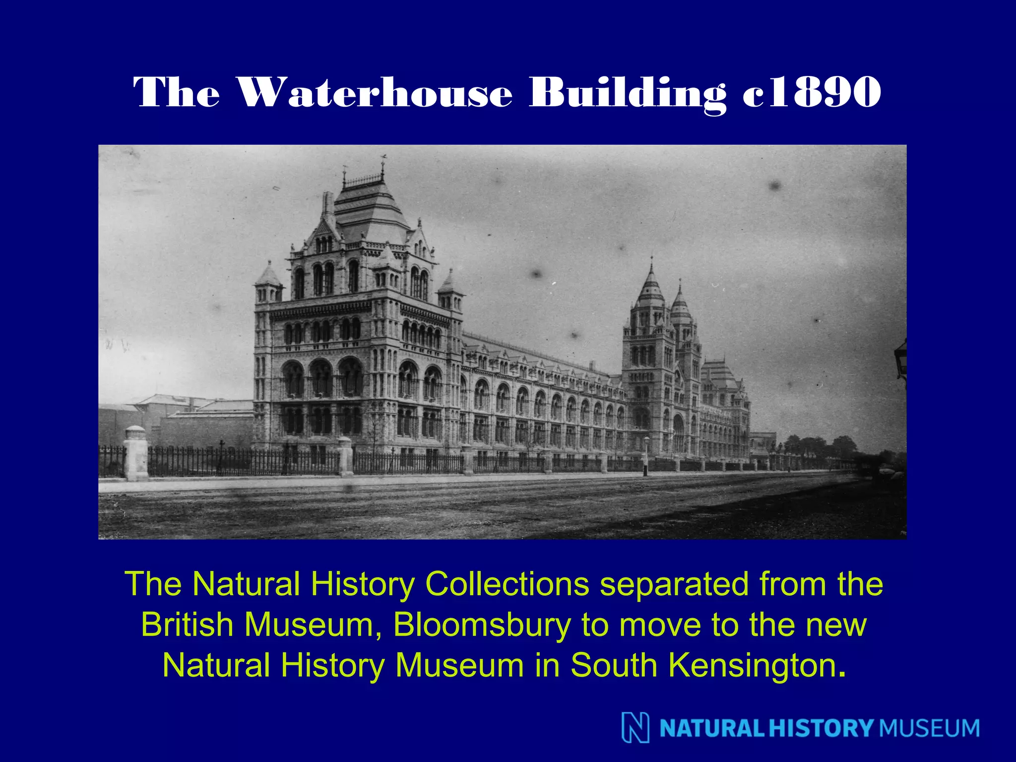 The Waterhouse Building c1890

The Natural History Collections separated from the
British Museum, Bloomsbury to move to the new
Natural History Museum in South Kensington.

 