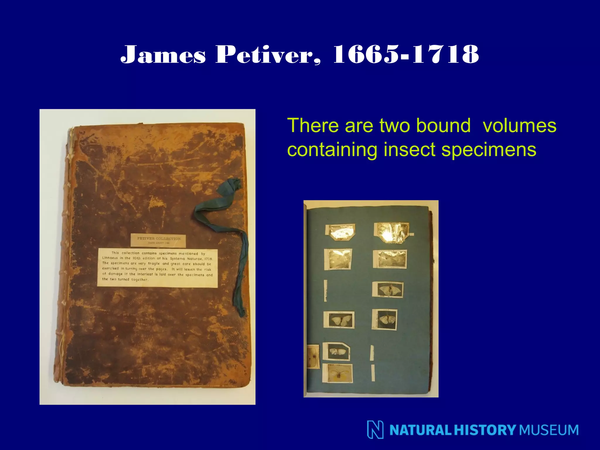 James Petiver, 1665-1718
There are two bound volumes
containing insect specimens

 