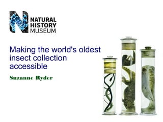 Making the world's oldest
insect collection
accessible
Suzanne Ryder

 
