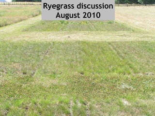 Ryegrass discussion August 2010 
