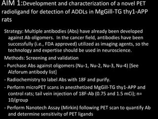 AIM 1:Development and characterization of a novel PET
radioligand for detection of ADDLs in MgGill-TG thy1-APP
rats
 Strategy: Multiple antibodies (Abs) have already been developed
   against Ab oligomers. In the cancer field, antibodies have been
   successfully (i.e., FDA approved) utilized as imaging agents, so the
   technology and expertise should be used in neuroscience.
 Methods: Screening and validation
 - Purchase Abs against oligomers (Nu-1, Nu-2, Nu-3, Nu-4) [See
   Alzforum antibody list]
 - Radiochemistry to label Abs with 18F and purify.
 - Perform microPET scans in anesthetized MgGill-TG thy1-APP and
   control rats; tail vein injection of 18F-Ab (0.75 and 1.5 mCi); n=
   10/group
 - Perform Nanotech Assay (Mirkin) following PET scan to quantify Ab
   and determine sensitivity of PET ligands
 
