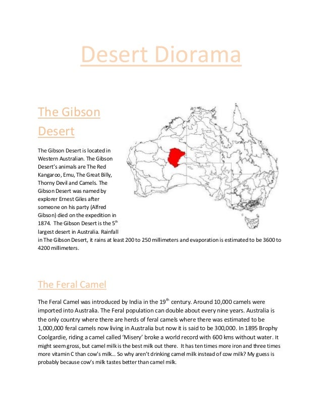 Ryley The Gibson Desert