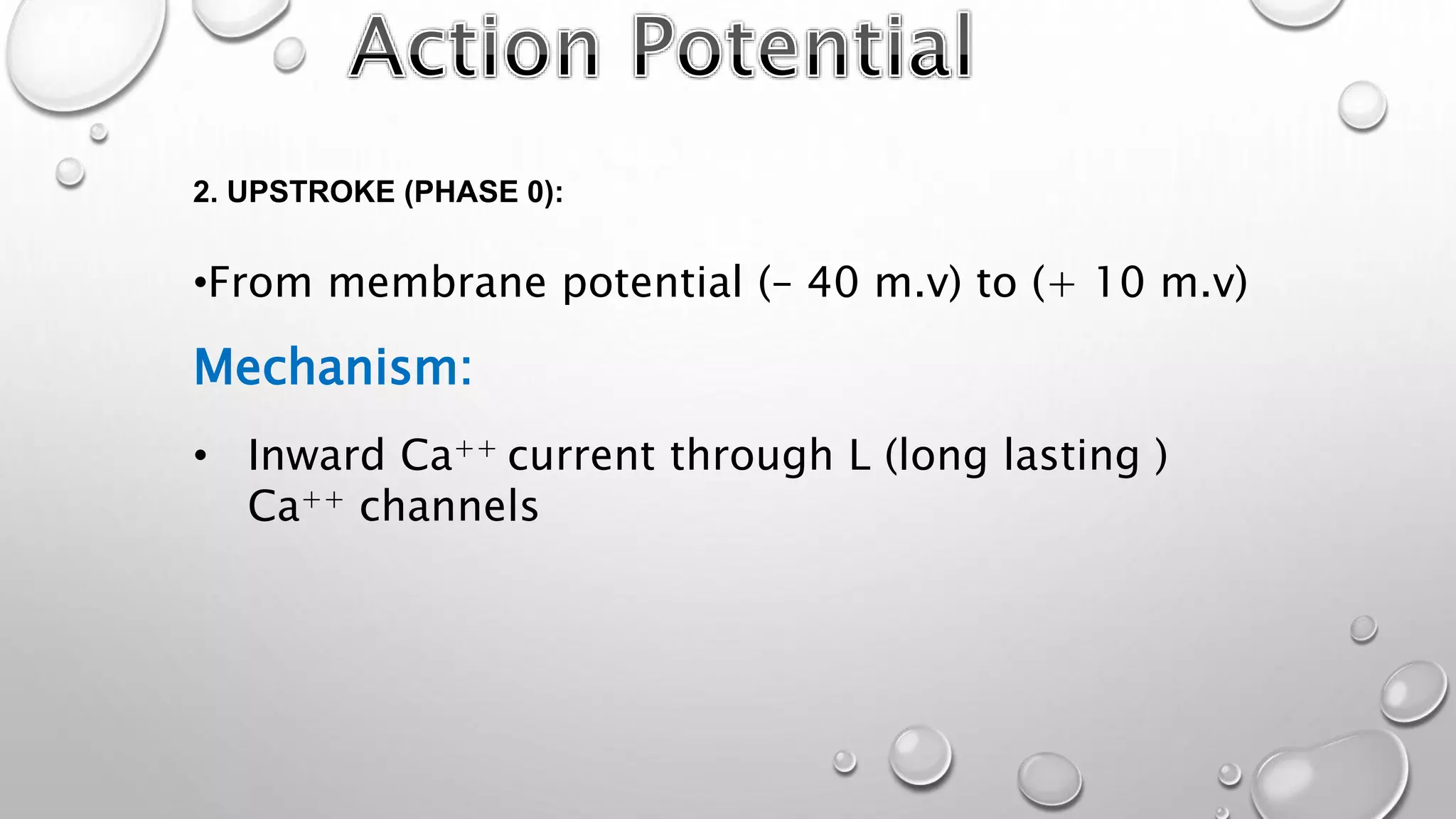 2. UPSTROKE (PHASE 0):
Mechanism:
• Inward Ca++ current through L (long lasting )
Ca++ channels
•From membrane potential (– 40 m.v) to (+ 10 m.v)
 